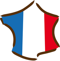 logo france